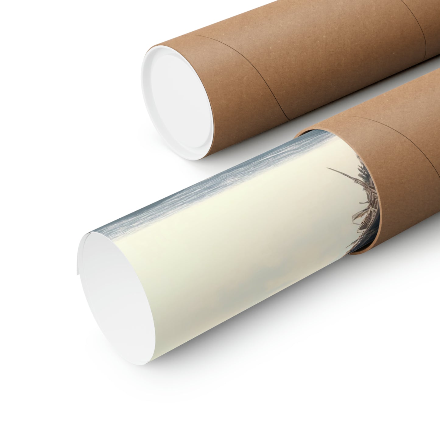 Matte Horizontal Posters