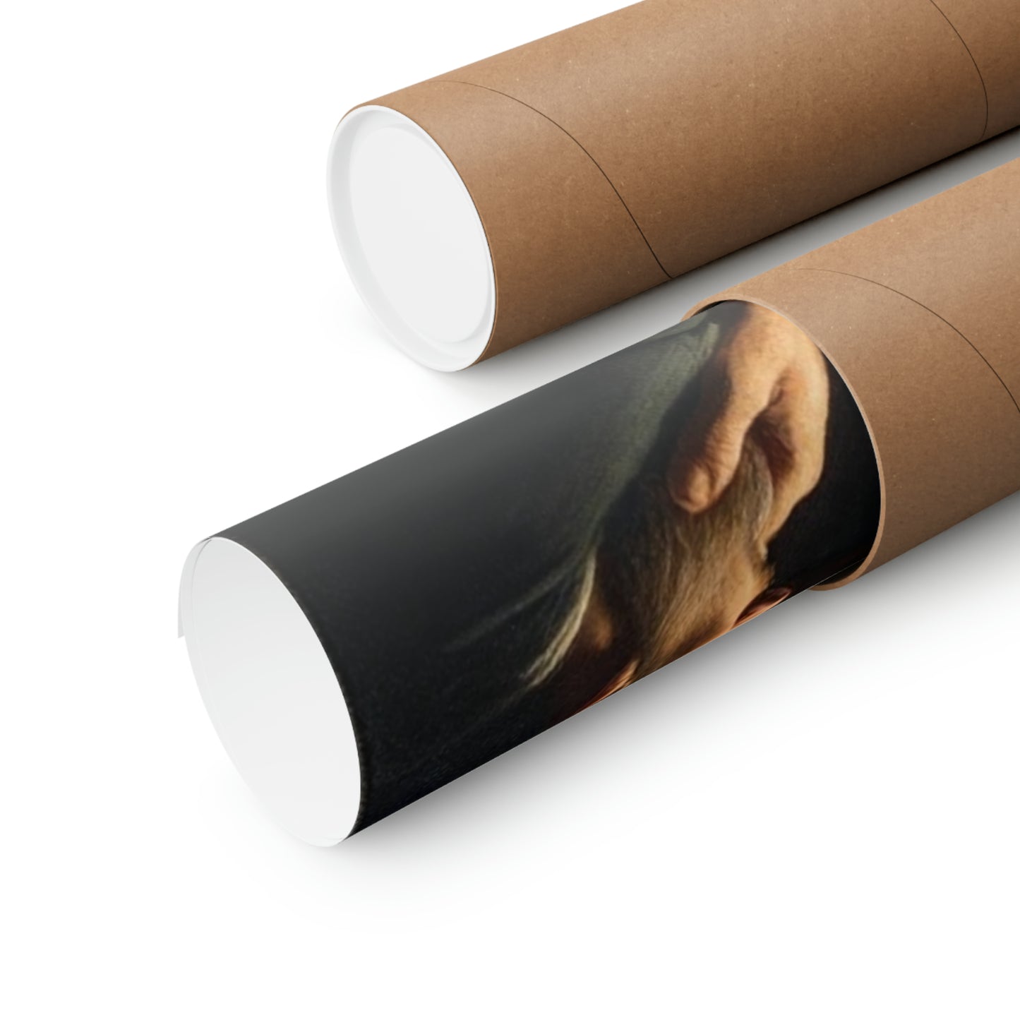 Matte Vertical Posters